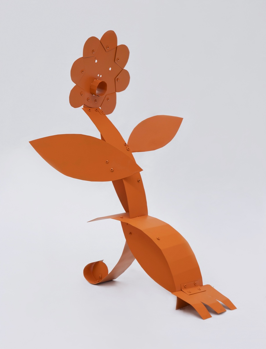 Martín Daiber — Flor naranja